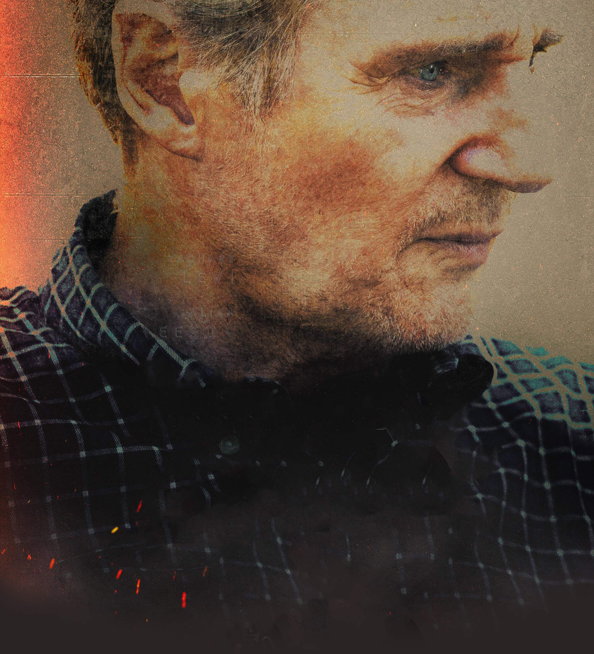 The Fix poster